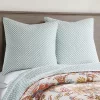 Eden Teal Euro Sham Set - Two Euro Shams - Levtex Home