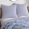 Wexford Blue Euro Sham Set - Two Euro Shams - Levtex Home