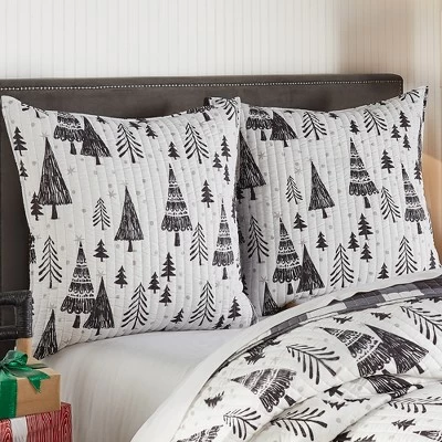 Northern Star Holiday Euro Sham Set Of 2 Black - Levtex Home