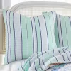 Deep Sea Multicolored Euro Sham Set - Two Euro Shams - Levtex Home