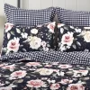 Fillipa - Quilted Sham - Levtex Home